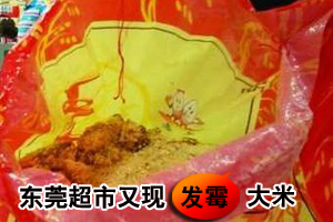 又遇发臭米 一坨坨米团上长黄毛